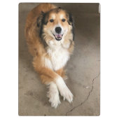 犬 クリップボード (裏面)