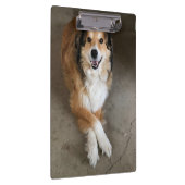 犬 クリップボード (右)