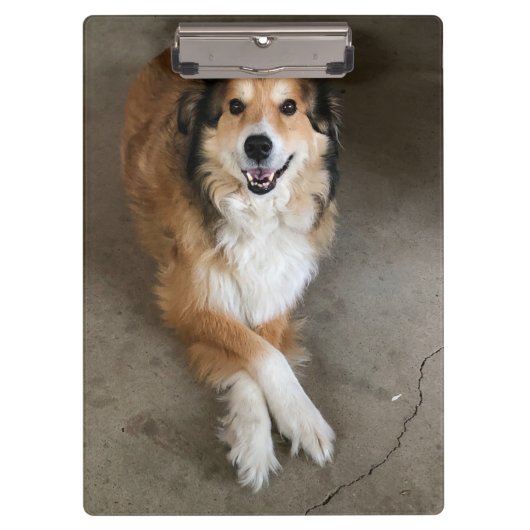 犬 クリップボード (正面)