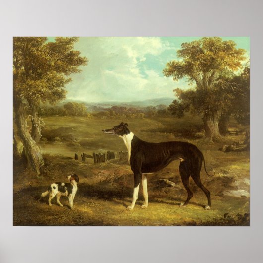 犬、グレイハウンドとスパニエル犬、ドクターフォップバイヘリング ポスター (正面)