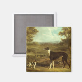 犬、グレイハウンドとスパニエル犬、ドクターフォップバイヘリング マグネット (正面/裏面)