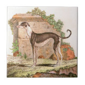 犬-グレイハウンド タイル (正面)