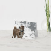 犬 サンキューカード (正面)