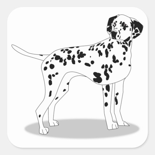 犬 スクエアシール (正面)