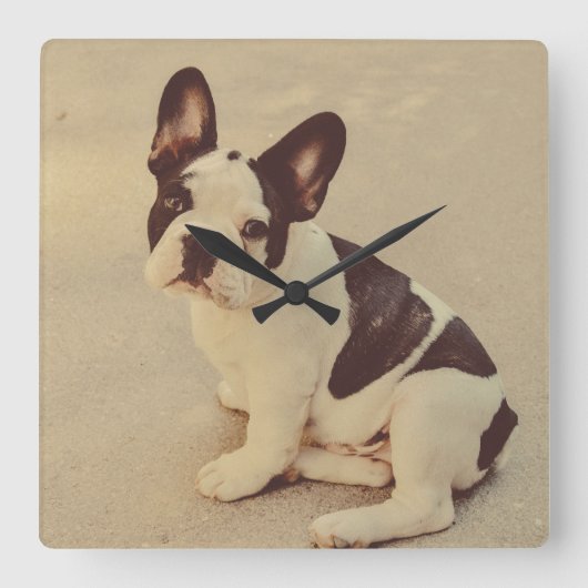 犬 スクエア壁時計 (正面)
