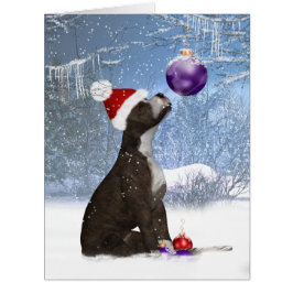 （犬）スタッフォードのブルテリアの子犬、休日の大きいカード