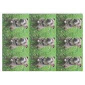 （犬）スタッフォードのブル・テリアが注意を払って座っていた テーブルクロス (正面(横))