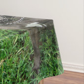 （犬）スタッフォードのブル・テリアが注意を払って座っていた テーブルクロス (インサイチュ)