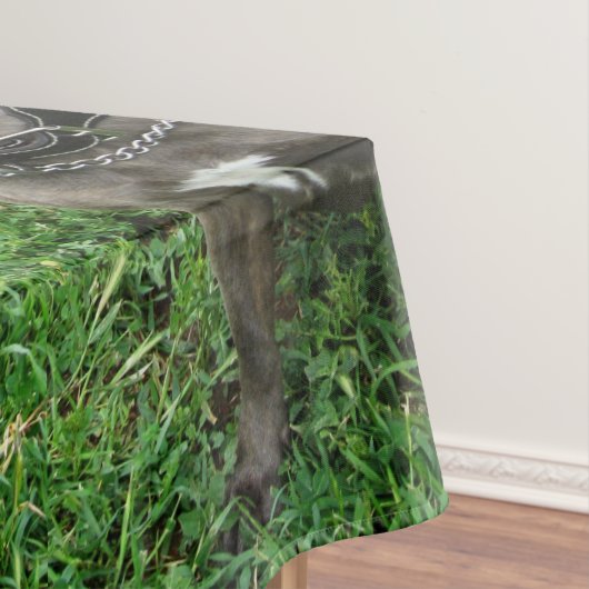 （犬）スタッフォードのブル・テリアが注意を払って座っていた テーブルクロス (インサイチュ)