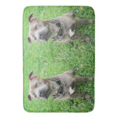 (犬)スタッフォードのブル・テリアが注意を払って座っていた バスマット (正面縦)