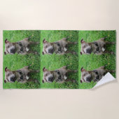 （犬）スタッフォードのブル・テリアが注意を払って座っていた ビーチタオル (正面)