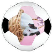 （犬）スタッフォードの子犬は籠の中で サッカーボール (回転)
