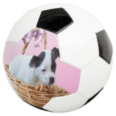 （犬）スタッフォードの子犬は籠の中で サッカーボール (3/4)