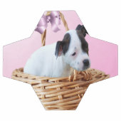 （犬）スタッフォードの子犬は籠の中で サッカーボール (フラット)
