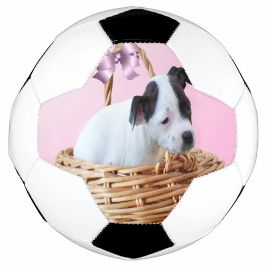 （犬）スタッフォードの子犬は籠の中で サッカーボール (正面)