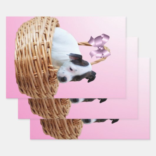 （犬）スタッフォードの子犬は籠の中で ラッピングペーパーシート (セット)