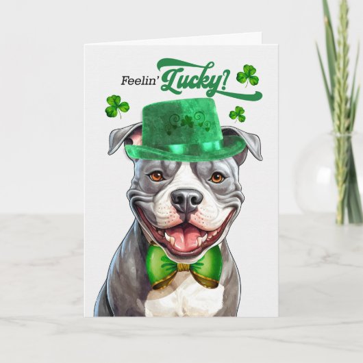 (犬)スタッフォードドッグフィーリングセントパトリックの日 シーズンカード (正面)