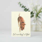 (犬)スタッフォードブルテリアことわざ ポストカード (スタンド正面)