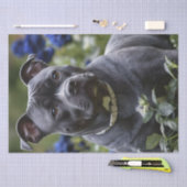 （犬）スタッフォードブルテリアインブルーバラガーデン 薄葉紙 (クラフト)