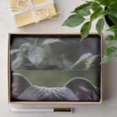 （犬）スタッフォードブルテリアインブルーバラガーデン 薄葉紙 (ギフト)