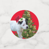 （犬）スタッフォードブルテリアクリスマスデザイン、 コンフェッティ (スモール正面)