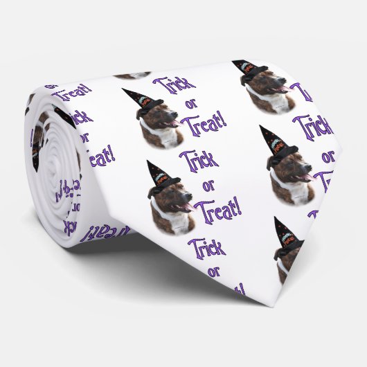 (犬)スタッフォードブルテリアトリック ネクタイ (ロール)