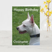 (犬)スタッフォードブルテリアハッピーバースデー カード (黄色い花)