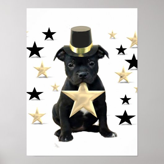 （犬）スタッフォードブルテリアパピーポスター ポスター (正面)