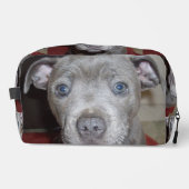 （犬）スタッフォードブルテリアパピー顔 ドップキット (正面)