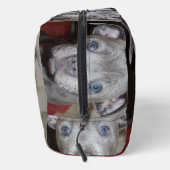 （犬）スタッフォードブルテリアパピー顔 ドップキット (右)