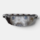 （犬）スタッフォードブルテリアパピー顔 ファニーパック (レイダウン)