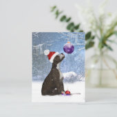 （犬）スタッフォードブルテリアパピー – ポストカードウィンター ポストカード (スタンド正面)