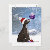 （犬）スタッフォードブルテリアパピー – ポストカードウィンター ポストカード (正面/裏面)