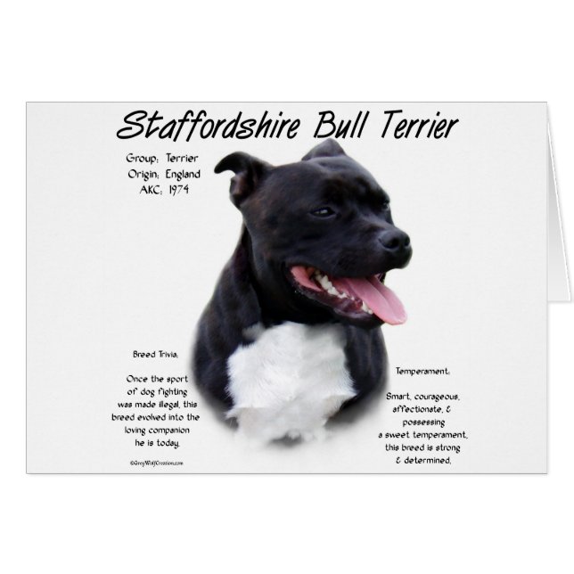 （犬）スタッフォードブルテリアヒストリデザイン (正面横)