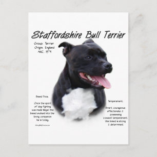 (犬)スタッフォードブルテリアヒストリデザイン ポストカード