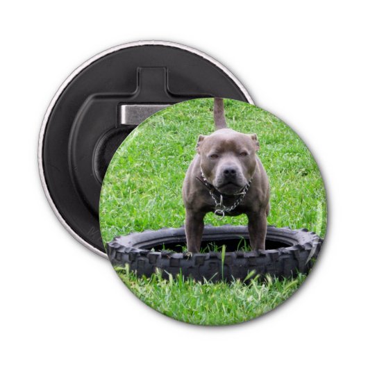 (犬)スタッフォードブルテリアボトルオープナー。 栓抜き (正面)