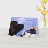 (犬)スタッフォードブルテリア誕生日カード カード (黄色い花)