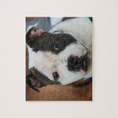 （犬）スタッフォードブルテリア ジグソーパズル (縦)