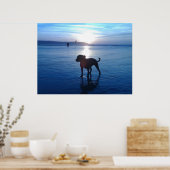 （犬）スタッフォードブルテリア ポスター (キッチン)