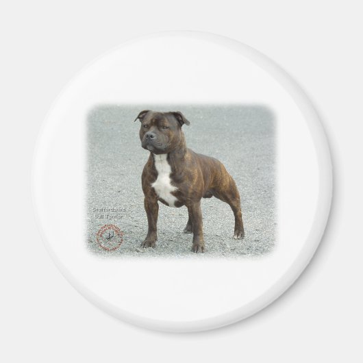 (犬)スタッフォードブルテリア マグネット (正面)