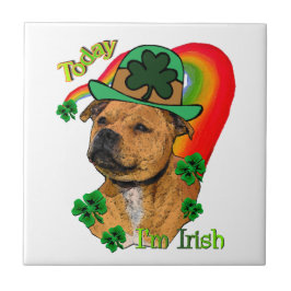 (犬)スタッフォードブルテリアSt patricks タイル