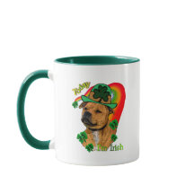（犬）スタッフォードブルテリアSt patricks