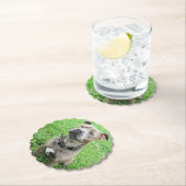 （犬）スタッフォード・ブル・テリアに注目して ペーパーコースター (インサイチュ)