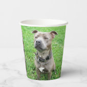 （犬）スタッフォード・ブル・テリアに注目して 紙コップ (裏面)