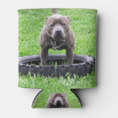 （犬）スタッフォード・ブル・テリア遊ー、時間 缶クーラー (正面)