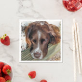 犬 スタンダードカクテルナプキン (インサイチュ)