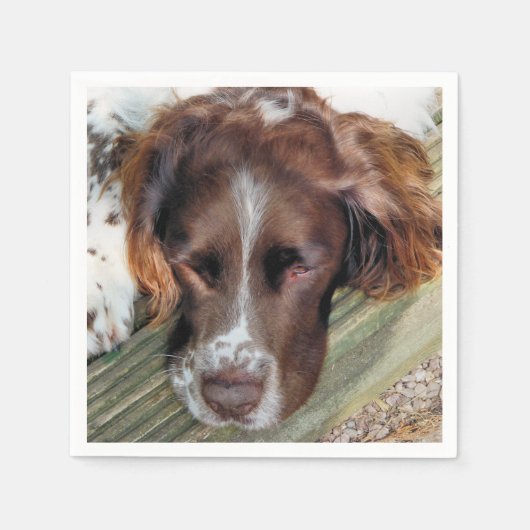 犬 スタンダードカクテルナプキン (正面)