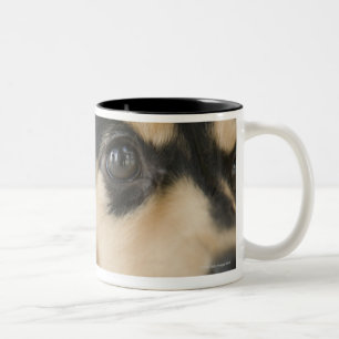 犬 ツートーンマグカップ