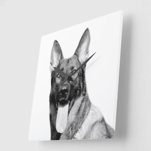 犬:ドイツの羊飼い動物のペット写真白黒 スクエア壁時計 (傾斜)