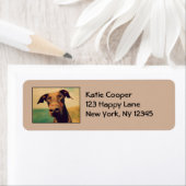 （犬）ドーベルマン・ピンシェルかわいい&大きな鼻で愛らしい ラベル (インサイチュ)